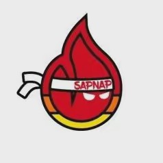 Sapnap