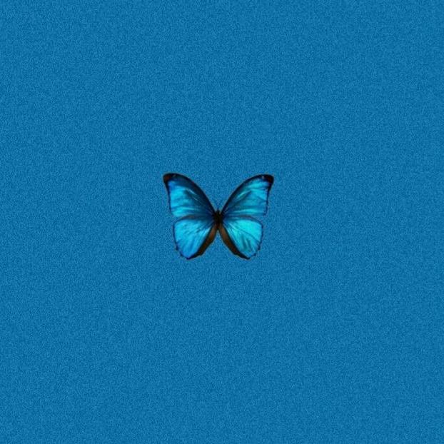 𝚍𝚊𝚗𝚝𝚘𝚖𝚍𝚑🦋