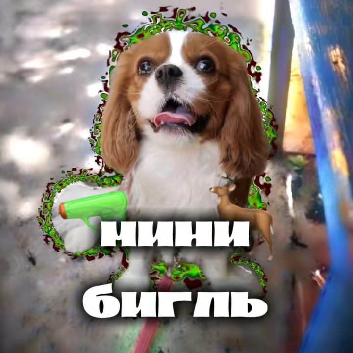 🦌ᛖџʜџ ѣџґʌƀ🔫