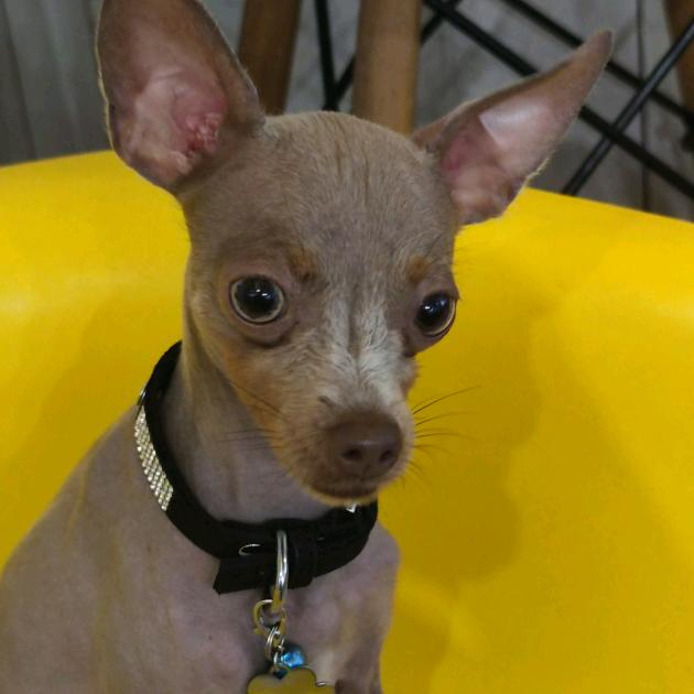 Мария Матвиенко