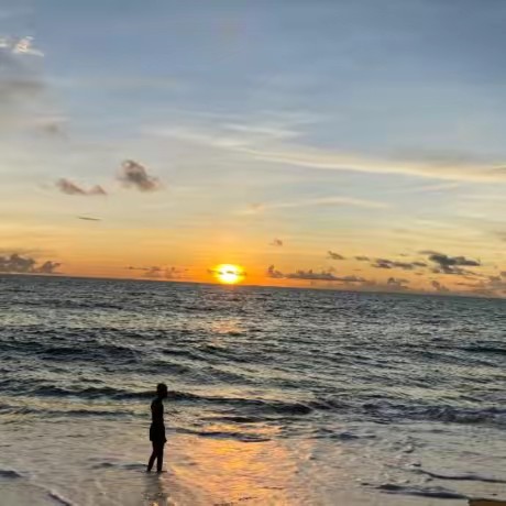 🌵𝐢𝐥.𝐫𝐨𝐬𝐬𝐢.t🐗