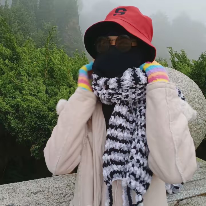 วีซามวีใจ