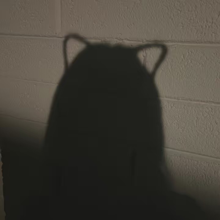 𝓐𝓶𝓪𝔂𝓪𝓱💕