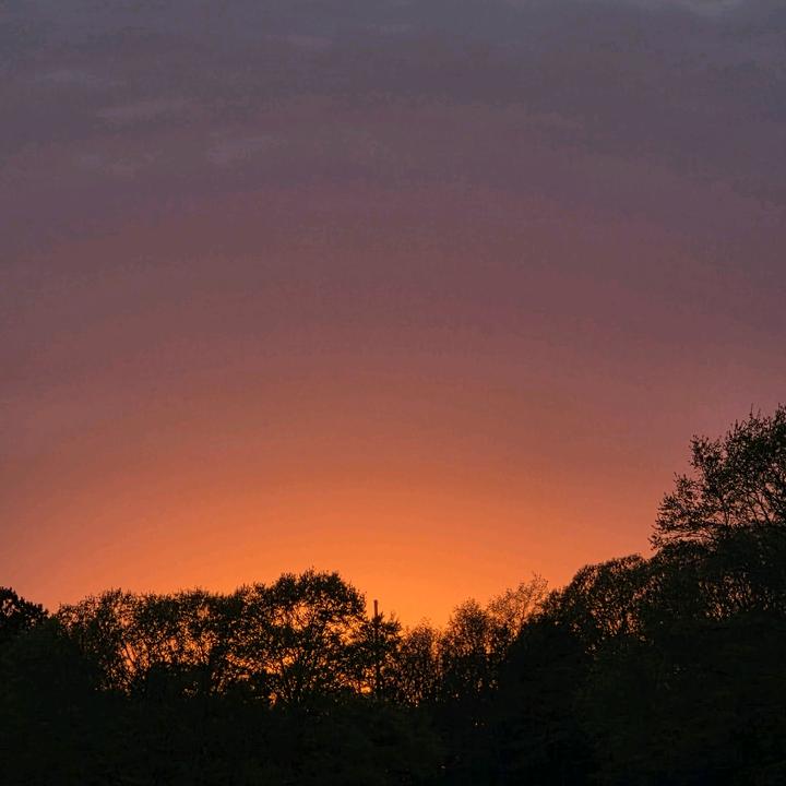 ✘𝕸𝖆𝖙𝖊𝖔✘