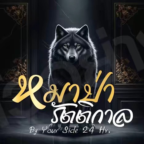 หมาป่ารัตติกาล