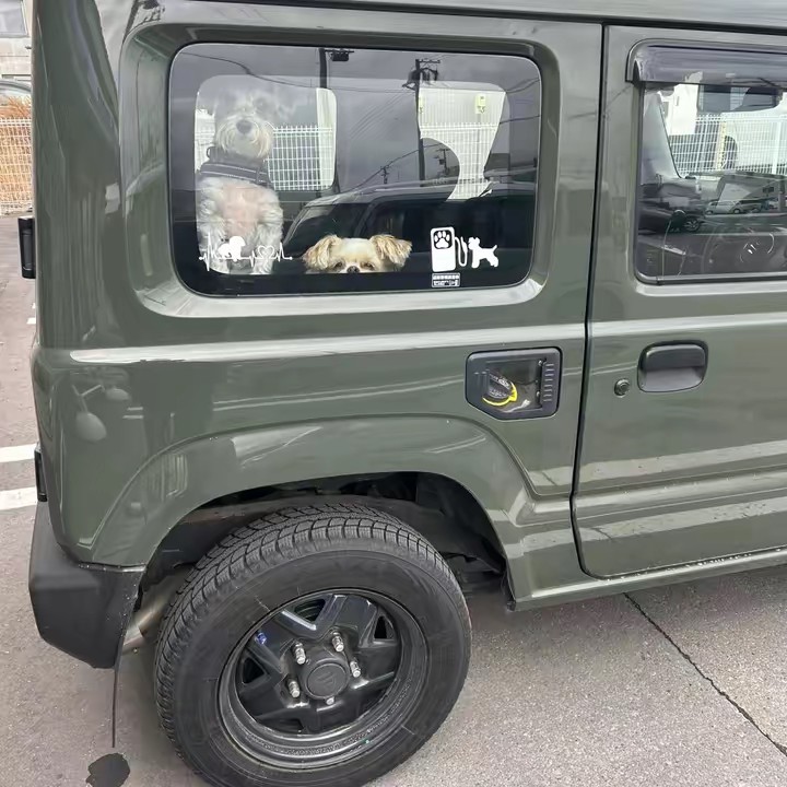 ミックス犬 マルとヨリ