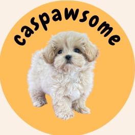 Caspawsome