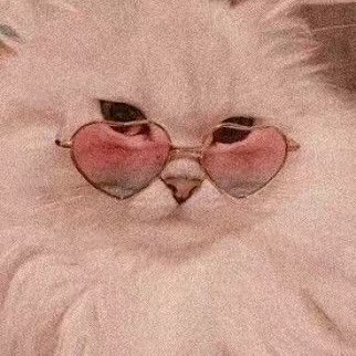 𝚙𝚜𝚢𝚌𝚑𝚘⚠︎