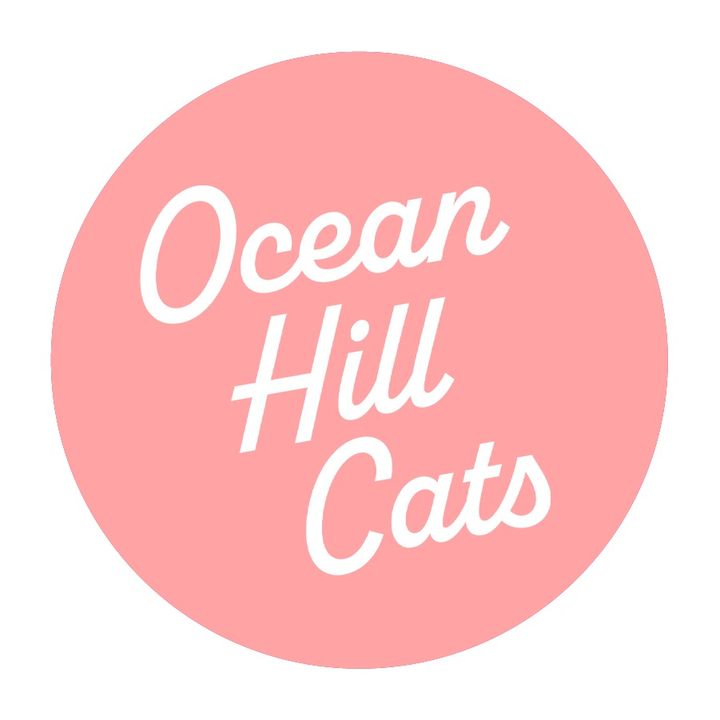 Ocean Hill Cats