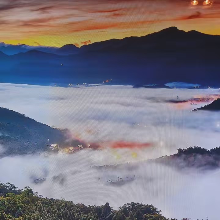 Vanessa Lopes da Silva