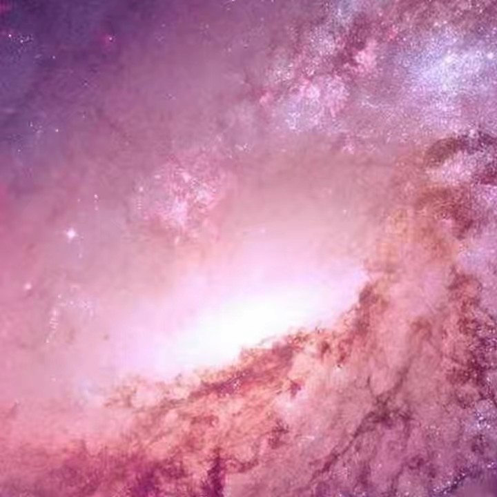 북해어장 왕코다리