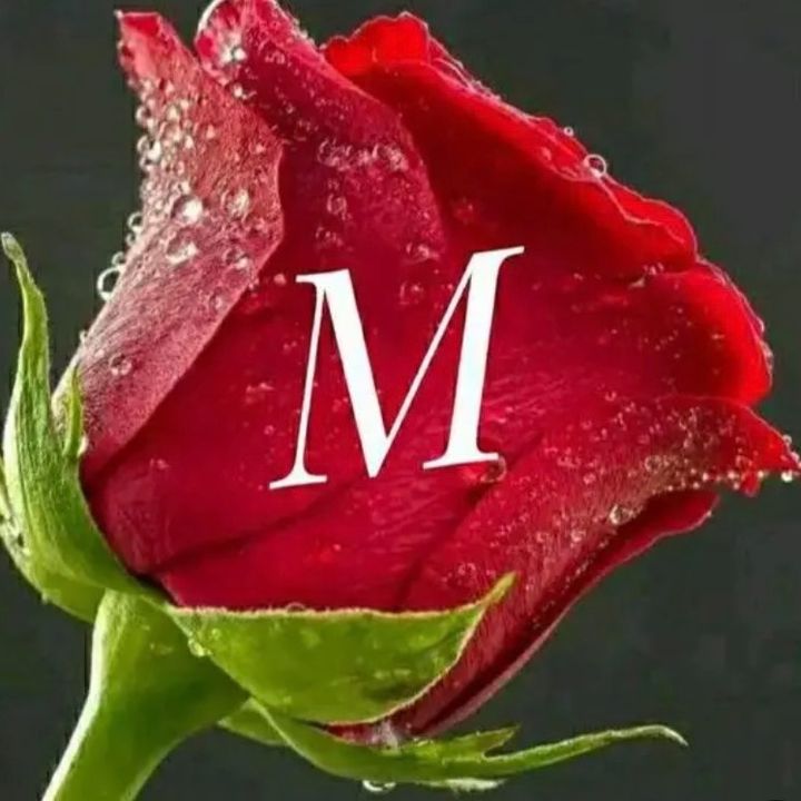 🇸🇦﮼𝑴𝑨𝑵𝑨𝑹🇸🇦