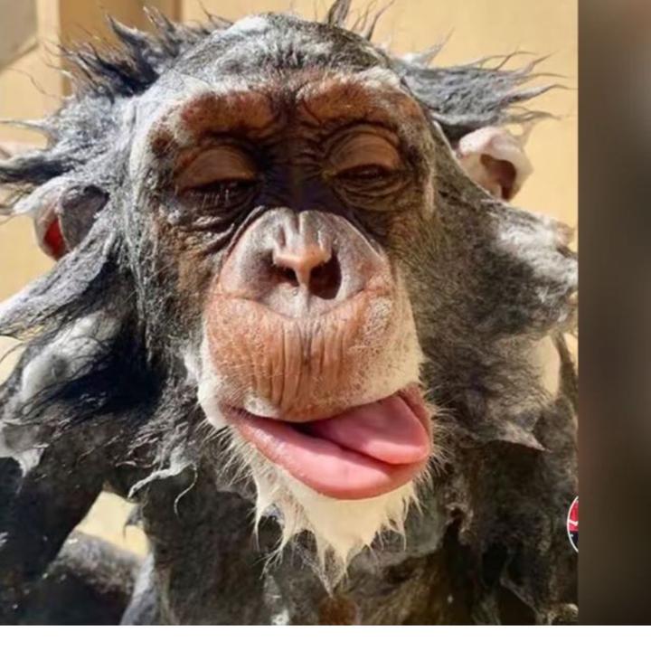 pls i need 100 followers