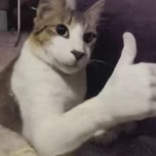 農家のおじさん