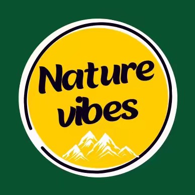 Nature Vibes 🏔️