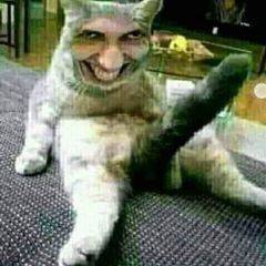 Alexis Yossymar Sanc