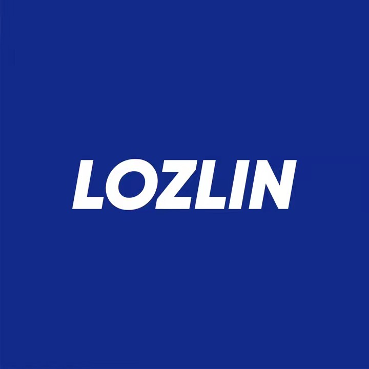 LOZLIN Tools Pro Store