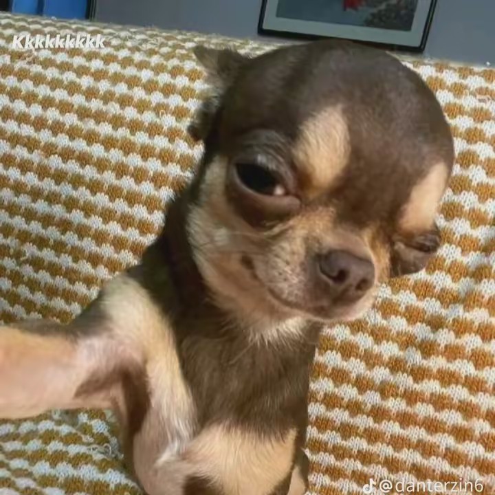 Usuário não encontrado!!