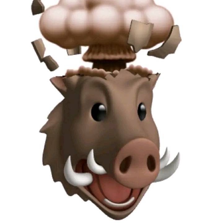 why are you still here