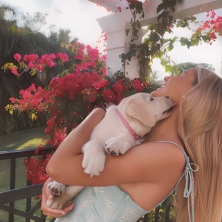 ˗ˏˋ S K Y L A R  ˎˊ˗ 💫