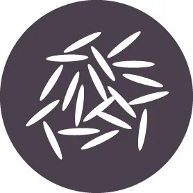 Reishunger