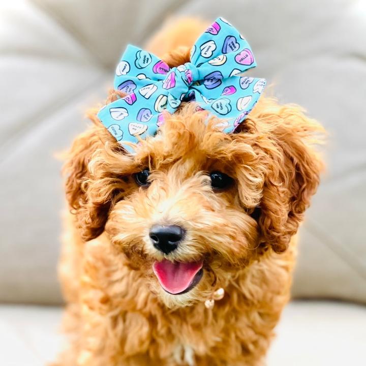 MargaritaPizza ❤️🖤🤍💚