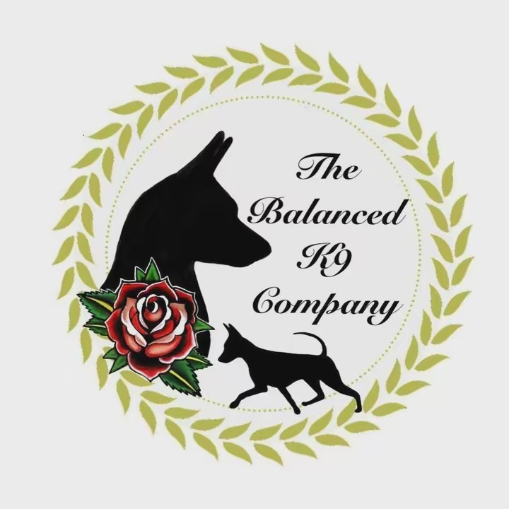 The Balanced K9 Company