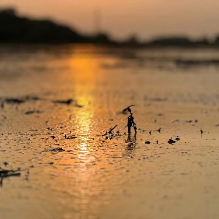 จิมมี่ วินโด้เซเว่น