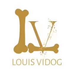 Louis Vidog