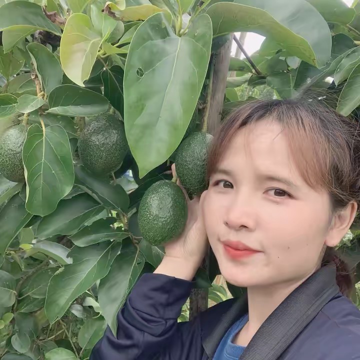 อาเบ้า🥑