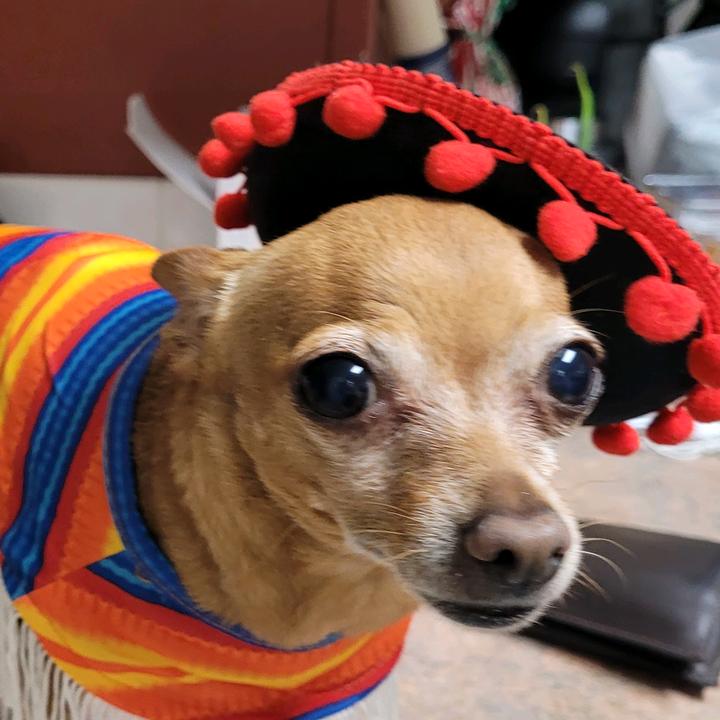 alex_dadecounty4life