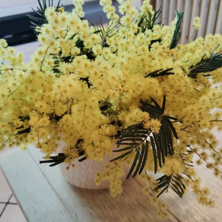 🌺🌺Laly🦋🦋