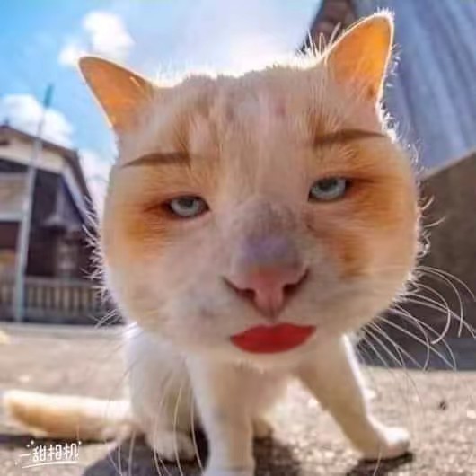 🌻Moe Moe Zaw Lin🌻