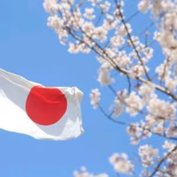 sakura japan🇯🇵🎌