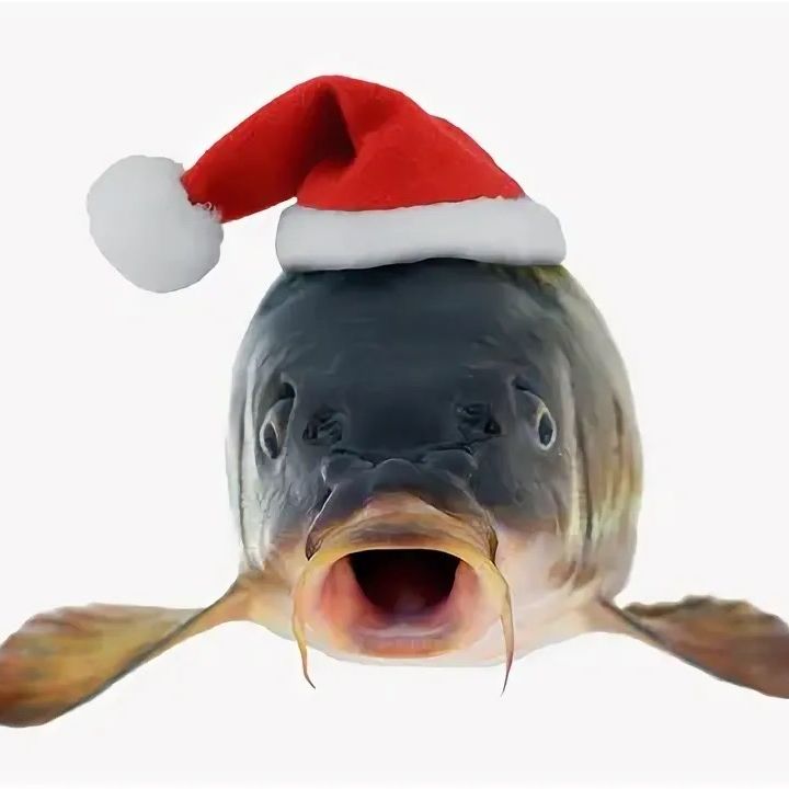 Карась етс 2