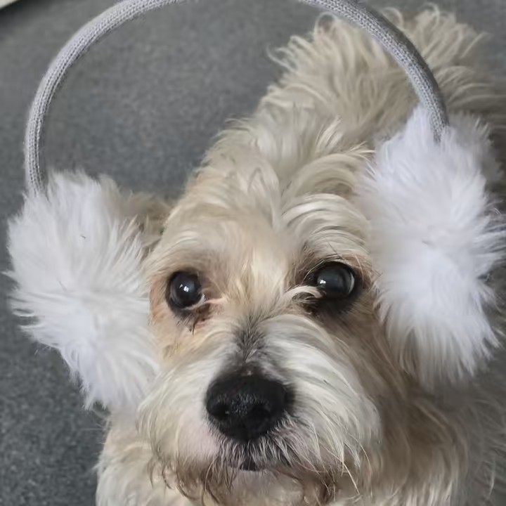 Let's make it personal