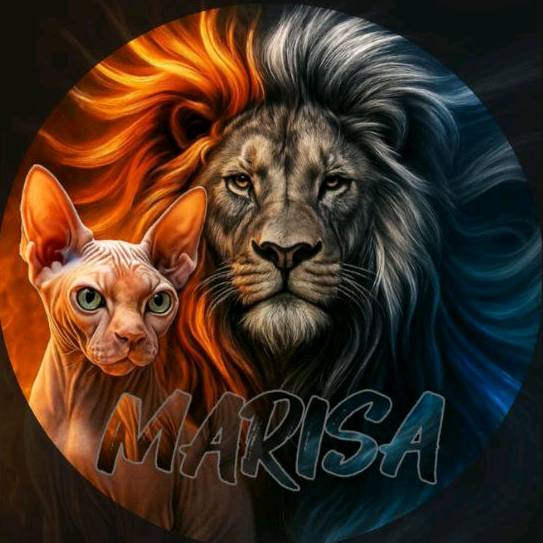 Marisa do OSTEA 😻🤍