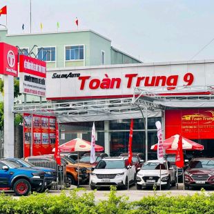 Thanh Định Auto Toàn Trung HCM