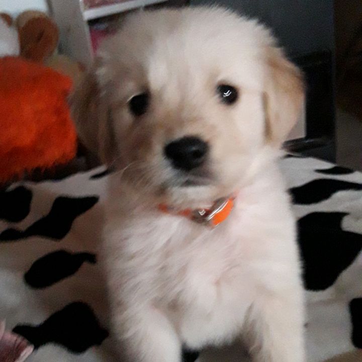 𝓒𝓲𝓮𝓵𝓸🖤