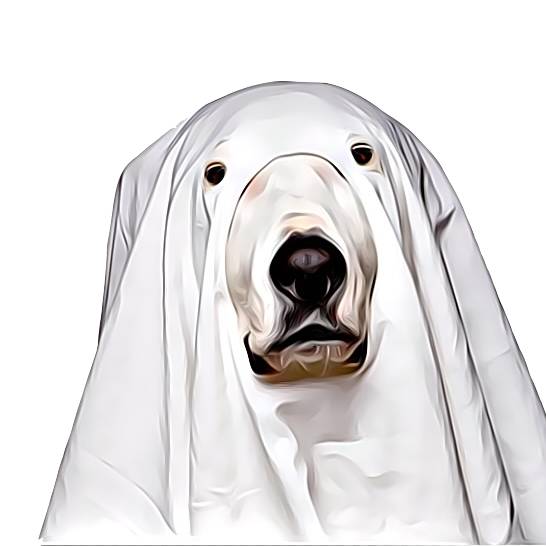 Courage_Of_The_Ghost