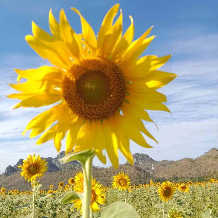 ไอร่นุ่น🤍🧸