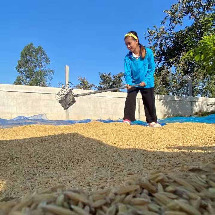 🐝ร้านนี้ดี🐝