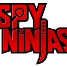 Spy Ninjas Music Official