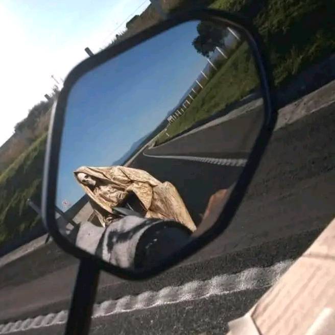 Erick🥷❤️‍🩹