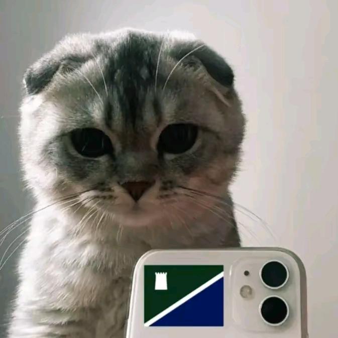 𝚍𝚊𝚛𝚐𝚒𝚗𝚎𝚌