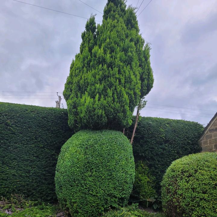 IDL Landscape gardening