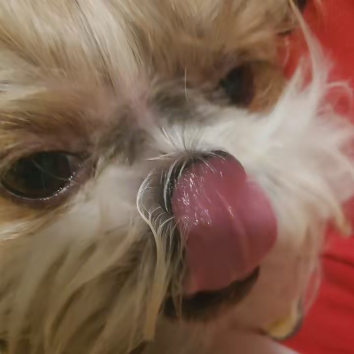 {𝕞𝕒𝕚𝕤𝕒}💙💓🌸