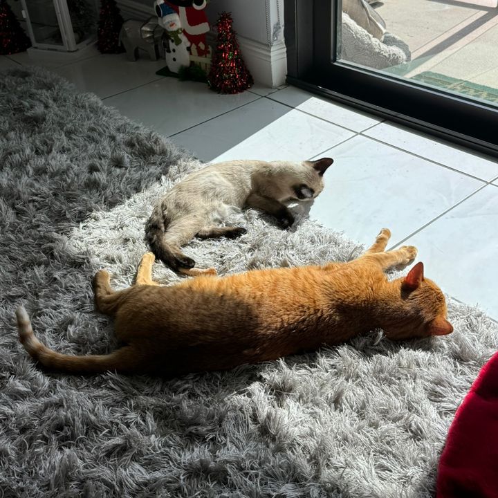 Gordo Bailey and Blu