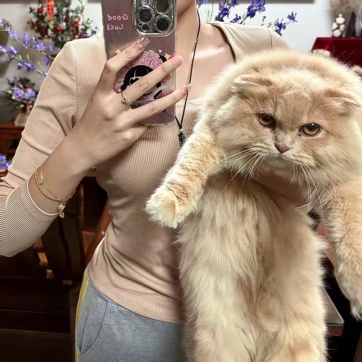 Hướng nội nhất tiktok