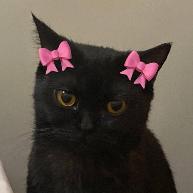 Kinberlin🎀☁️.